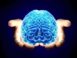 MindDinamics Human-Brain held in hands