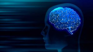 MindDinamics_Hypnotherapy_human-brain-medical